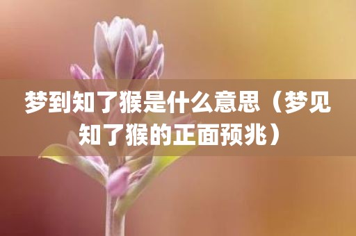 梦到知了猴是什么意思（梦见知了猴的正面预兆）