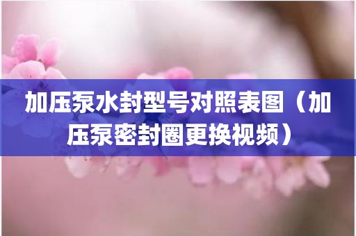 加压泵水封型号对照表图（加压泵密封圈更换视频）
