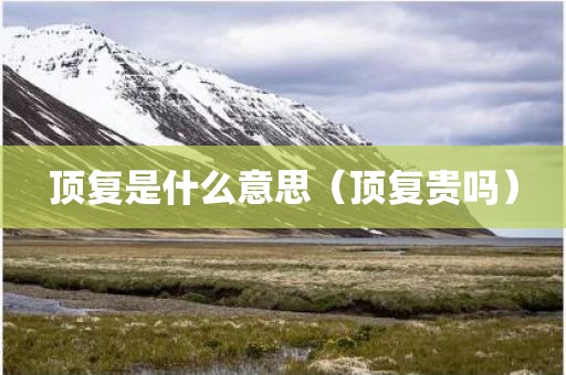 顶复是什么意思（顶复贵吗）