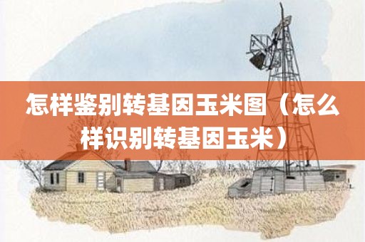 怎样鉴别转基因玉米图（怎么样识别转基因玉米）