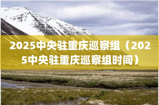 2025中央驻重庆巡察组（2025中央驻重庆巡察组时间）