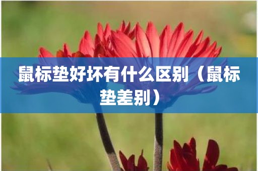 鼠标垫好坏有什么区别（鼠标垫差别）