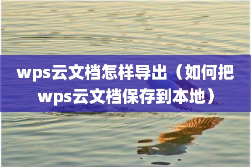 wps云文档怎样导出（如何把wps云文档保存到本地）