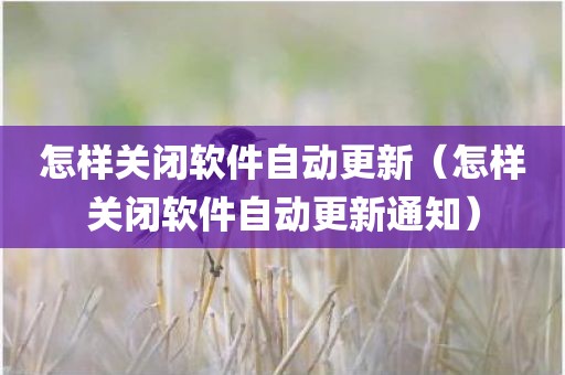 怎样关闭软件自动更新（怎样关闭软件自动更新通知）
