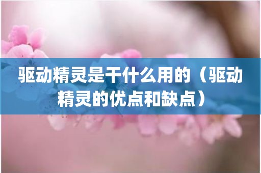 驱动精灵是干什么用的（驱动精灵的优点和缺点）