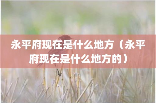 永平府现在是什么地方（永平府现在是什么地方的）