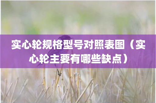 实心轮规格型号对照表图（实心轮主要有哪些缺点）