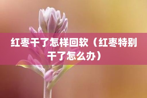 红枣干了怎样回软（红枣特别干了怎么办）