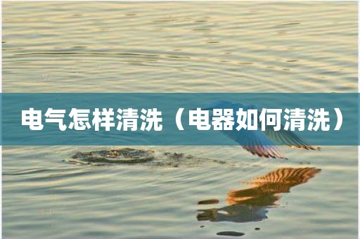 电气怎样清洗（电器如何清洗）