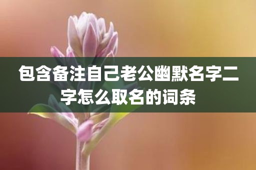 包含备注自己老公幽默名字二字怎么取名的词条
