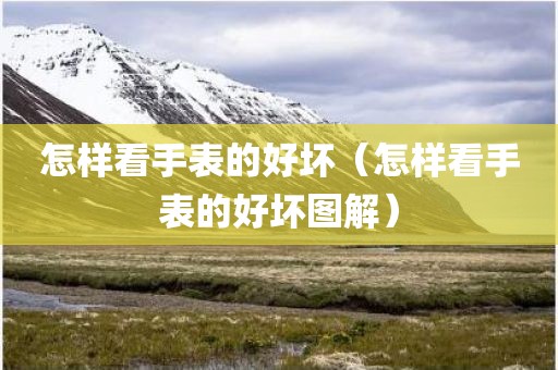怎样看手表的好坏（怎样看手表的好坏图解）