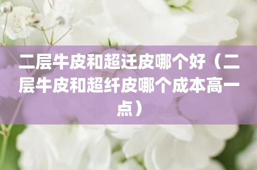 二层牛皮和超迁皮哪个好（二层牛皮和超纤皮哪个成本高一点）