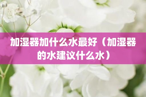 加湿器加什么水最好（加湿器的水建议什么水）