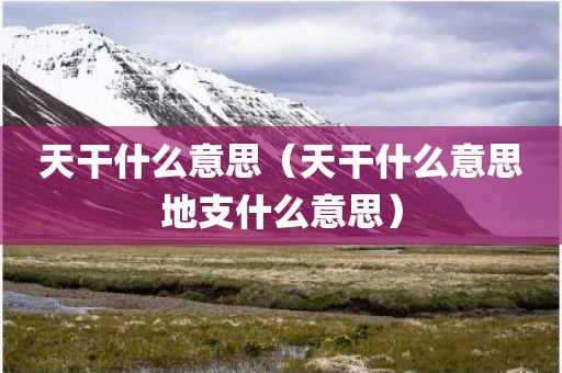 天干什么意思(天干什么意思地支什么意思)