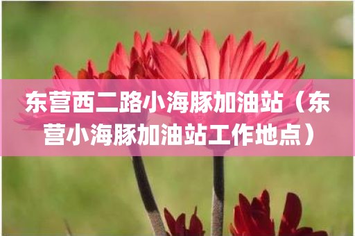 东营西二路小海豚加油站（东营小海豚加油站工作地点）