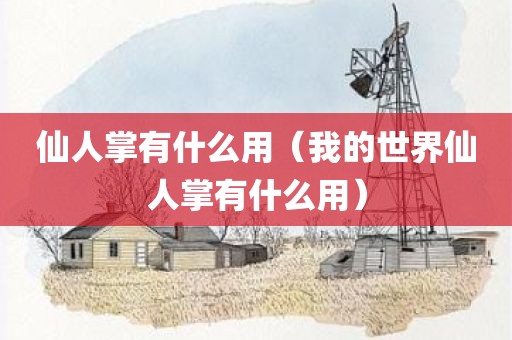 仙人掌有什么用（我的世界仙人掌有什么用）