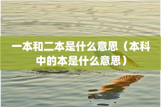 一本和二本是什么意思（本科中的本是什么意思）