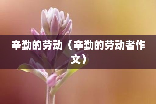 辛勤的劳动（辛勤的劳动者作文）