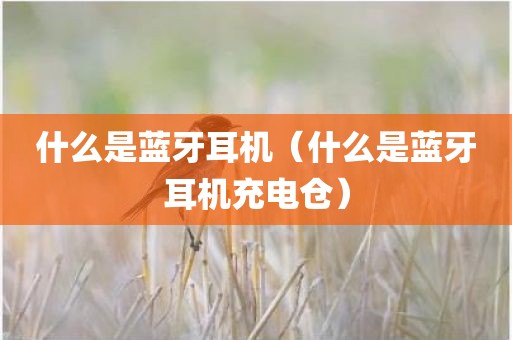 什么是蓝牙耳机（什么是蓝牙耳机充电仓）