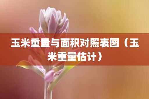 玉米重量与面积对照表图（玉米重量估计）