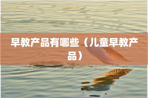 早教产品有哪些（儿童早教产品）