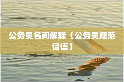 公务员名词解释（公务员规范词语）