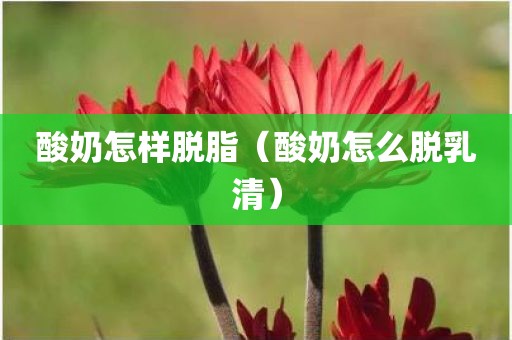 酸奶怎样脱脂（酸奶怎么脱乳清）