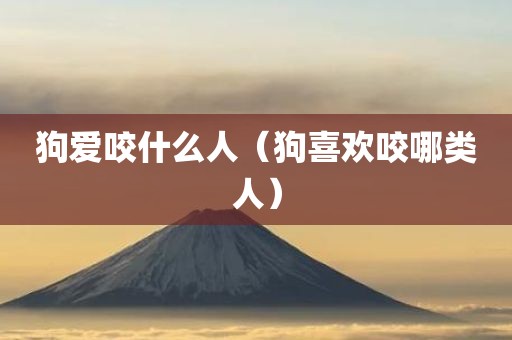 狗爱咬什么人（狗喜欢咬哪类人）