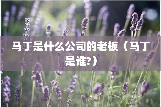 马丁是什么公司的老板（马丁是谁?）