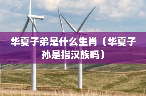 华夏子弟是什么生肖（华夏子孙是指汉族吗）