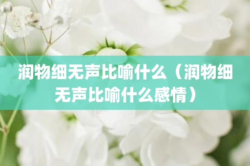 润物细无声比喻什么（润物细无声比喻什么感情）
