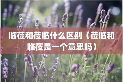 临莅和莅临什么区别（莅临和临莅是一个意思吗）