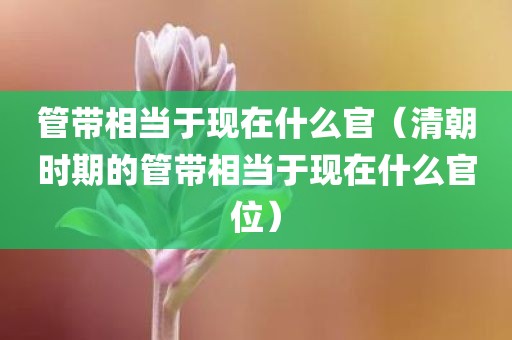 管带相当于现在什么官（清朝时期的管带相当于现在什么官位）