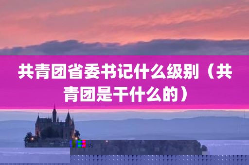 共青团省委书记什么级别（共青团是干什么的）