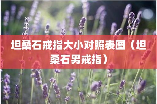 坦桑石戒指大小对照表图（坦桑石男戒指）