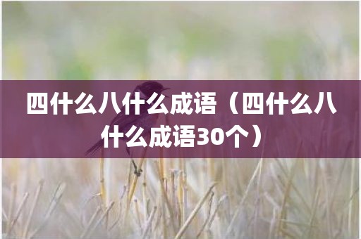 四什么八什么成语(四什么八什么成语30个)