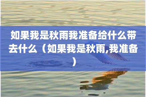如果我是秋雨我准备给什么带去什么（如果我是秋雨,我准备）
