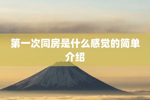 第一次同房是什么感觉的简单介绍