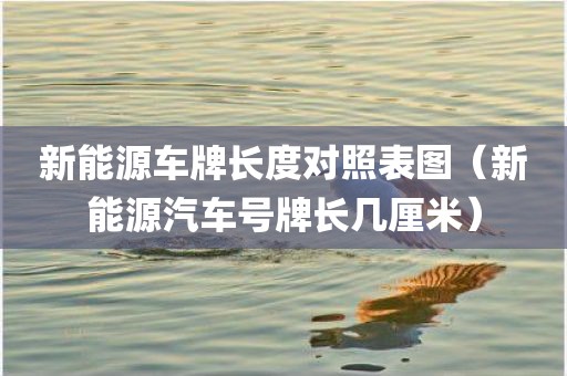 新能源车牌长度对照表图（新能源汽车号牌长几厘米）