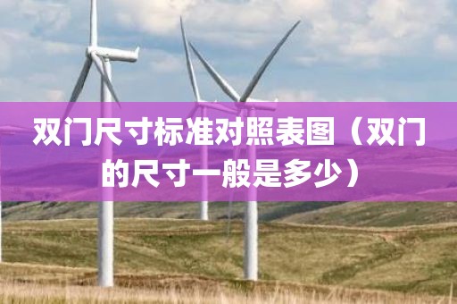 双门尺寸标准对照表图（双门的尺寸一般是多少）