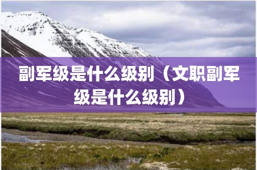 副军级是什么级别（文职副军级是什么级别）