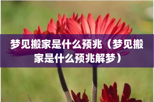 梦见搬家是什么预兆（梦见搬家是什么预兆解梦）