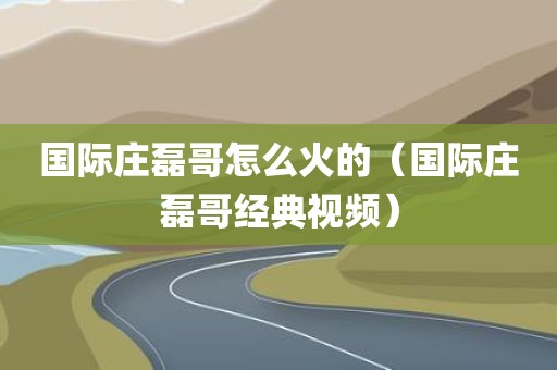 国际庄磊哥怎么火的（国际庄磊哥经典视频）