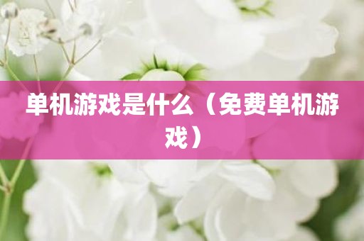 单机游戏是什么(免费单机游戏)