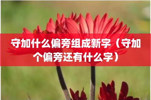 守加什么偏旁组成新字（守加个偏旁还有什么字）