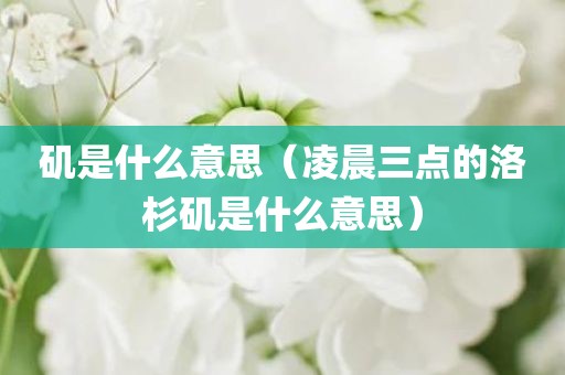 矶是什么意思（凌晨三点的洛杉矶是什么意思）