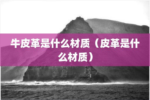 牛皮革是什么材质（皮革是什么材质）