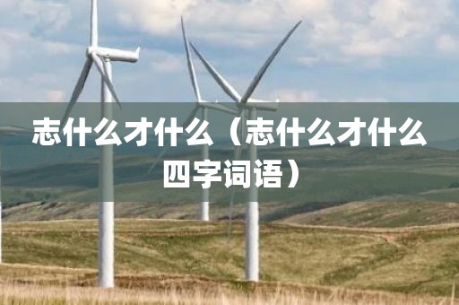 志什么才什么（志什么才什么四字词语）