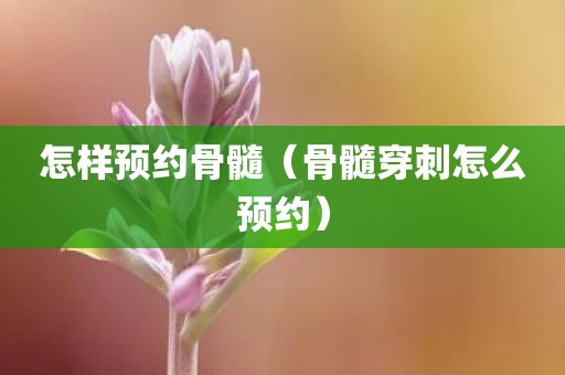 怎样预约骨髓（骨髓穿刺怎么预约）