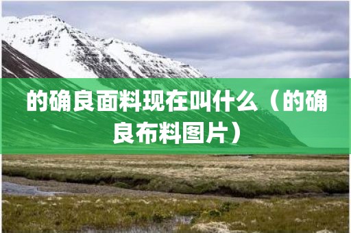 的确良面料现在叫什么（的确良布料图片）
